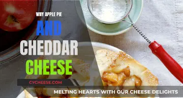 The Sweet and Savory Symphony: Apple Pie Meets Cheddar Cheese