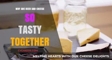 The Perfect Pairing: Unraveling Beer and Cheese's Delicious Harmony