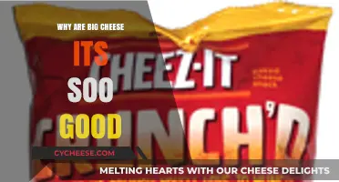 Big Cheese Its: Unraveling the Irresistible Crunch and Flavor
