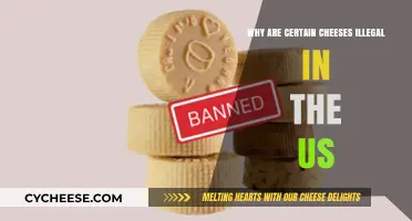 Banned Cheeses: Uncovering the Illegal Dairy Delicacies in America