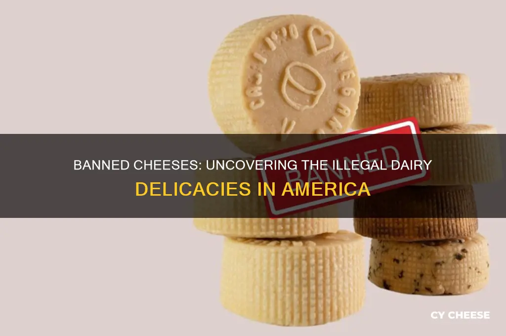 why are certain cheeses illegal in the us