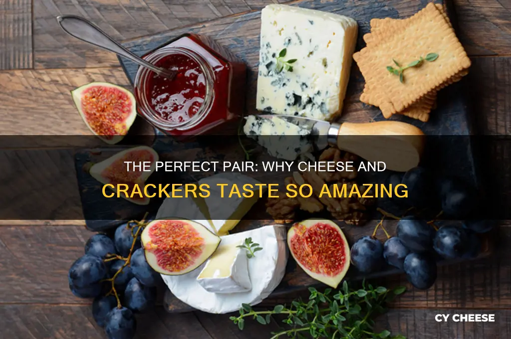 why are cheese and crackers so good