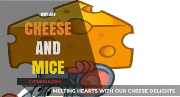 Cheese and Mice: Unraveling the Classic Cartoon Connection and Myths