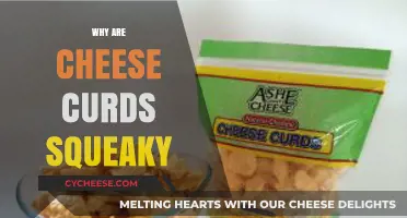 Why Cheese Curds Squeak: Unraveling the Science Behind the Sound