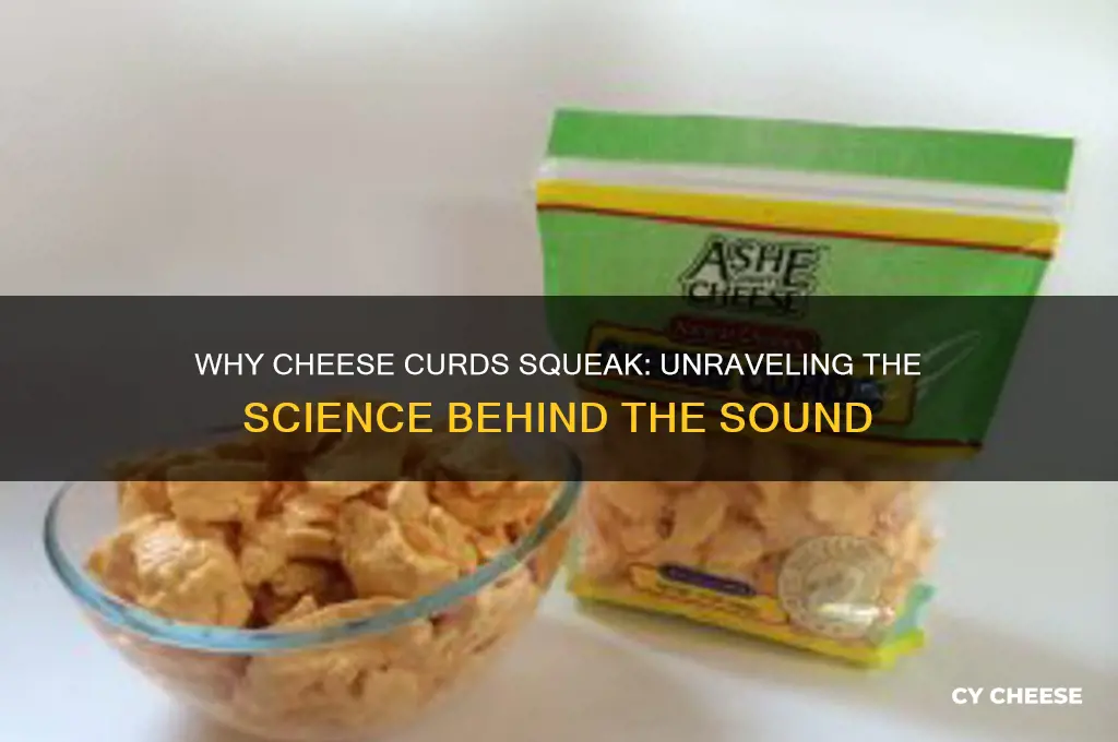 why are cheese curds squeaky