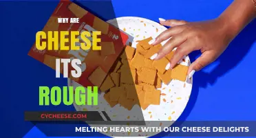 Why Cheese Its Have a Rough Texture: Uncovering the Crunchy Secret