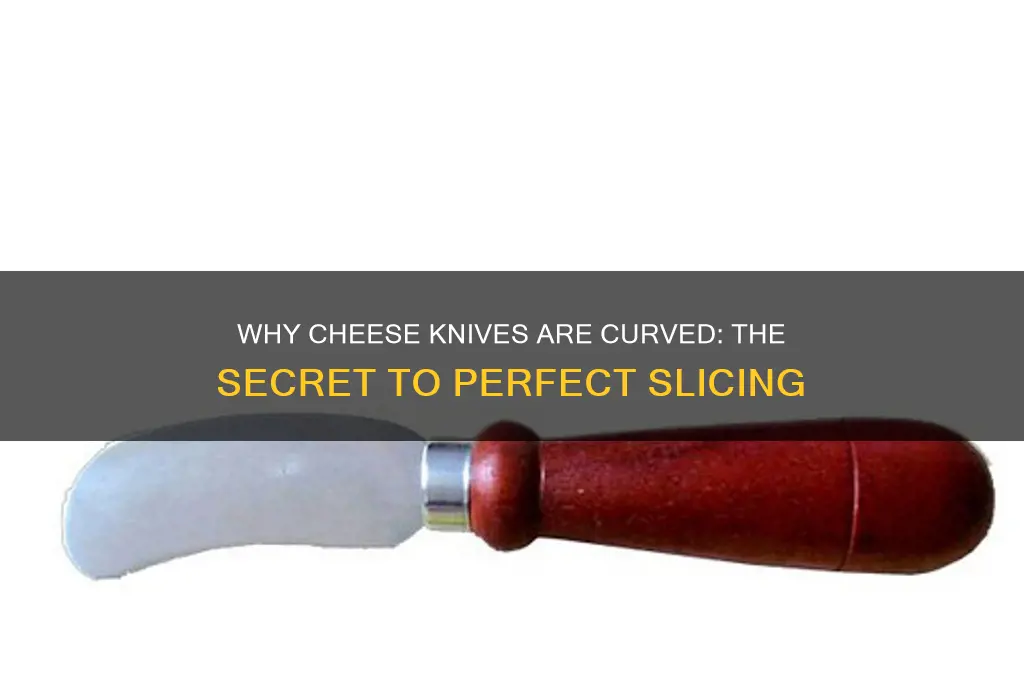 why are cheese knives curved