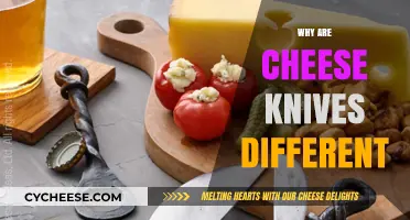 Why Cheese Knives Are Unique: Exploring Their Special Design and Purpose