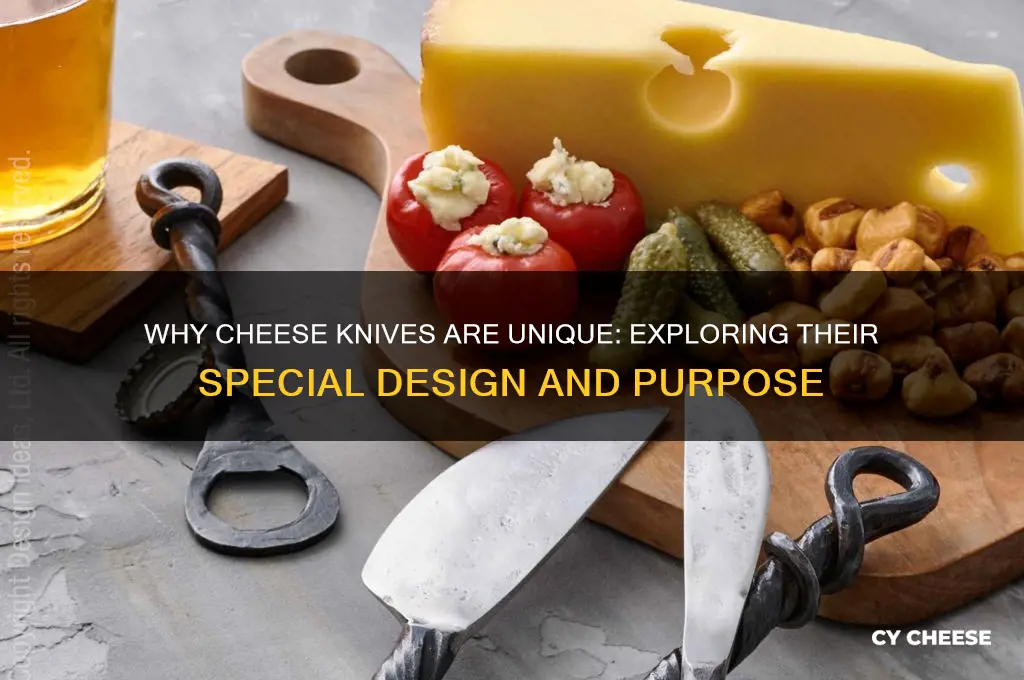 why are cheese knives different