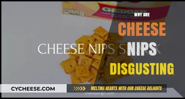 Why Cheese Nips Taste Awful: Uncovering the Disgusting Truth