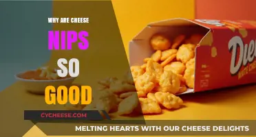 The Irresistible Crunch: Why Cheese Nips Are a Snack Favorite