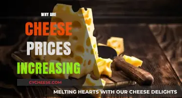 Rising Cheese Costs: Unraveling the Factors Behind Price Increases