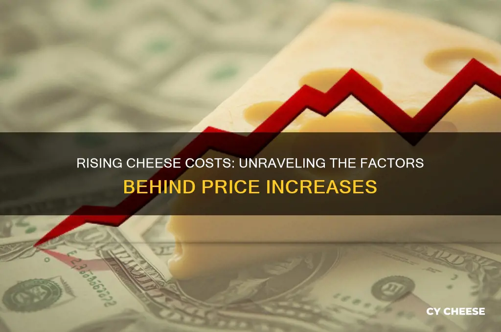 why are cheese prices increasing