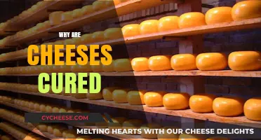 The Art of Aging Cheese: Why Curing Enhances Flavor and Texture