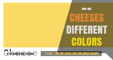 Exploring the Colorful World of Cheese: What Makes Them Different?
