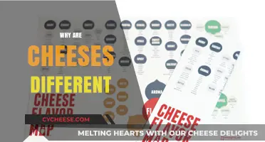 Exploring the Unique Flavors and Varieties of Cheese Differences