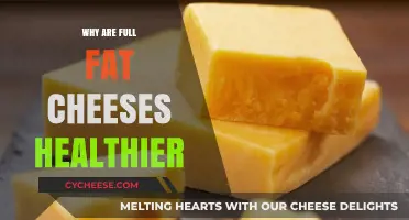 Full-Fat Cheeses: Healthier, But Why?