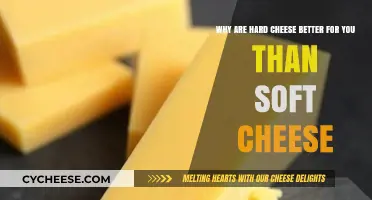 Hard Cheese vs. Soft: Nutritional Benefits and Health Advantages