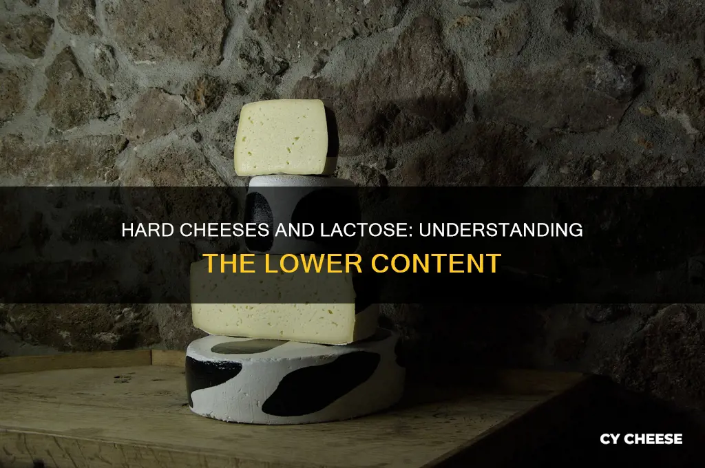 why are hard cheeses lower in lactose than other cheeses