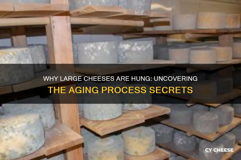 why are large cheese hung