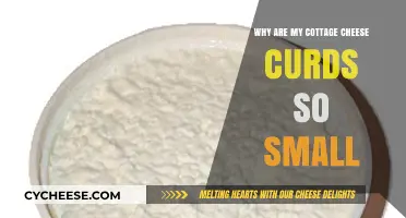 Small Cottage Cheese Curds: Causes and Solutions for Perfect Texture