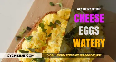 Watery Cottage Cheese Eggs: Causes and Fixes for Perfect Texture