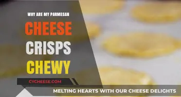 Chewy Parmesan Crisps: What Went Wrong?