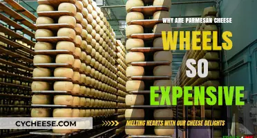 Parmesan Wheels: Pricey, but Worth It?