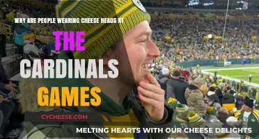 Cheese Heads at Cardinals Games: Unraveling the Quirky Fan Tradition
