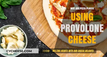 The Secret Behind Provolone's Pizza Magic