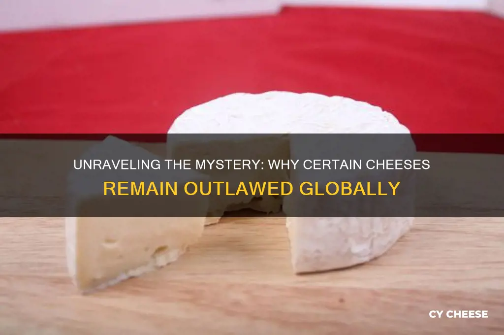 why are some cheese illegal