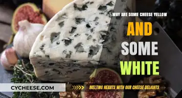Why Some Cheeses Are Yellow and Others Stay White