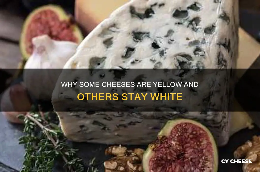 why are some cheese yellow and some white