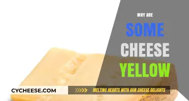 Why Some Cheeses Are Yellow: Uncovering the Colorful Truth