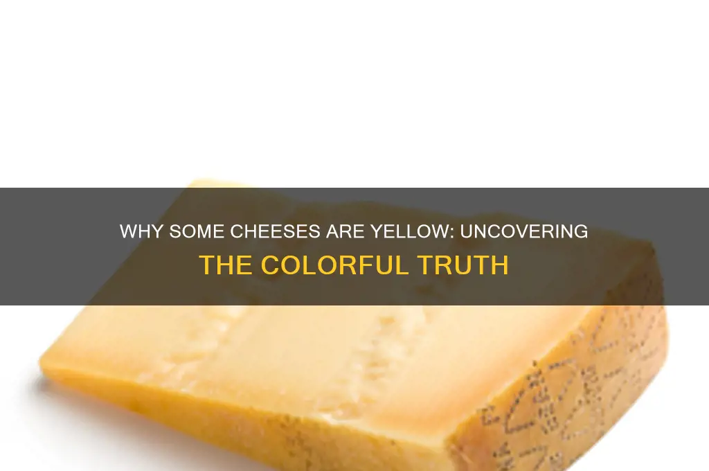 why are some cheese yellow