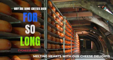 The Art of Aging Cheese: A Long Story