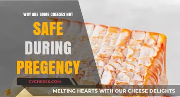 Pregnancy and Cheese: Understanding Risks of Unpasteurized Varieties