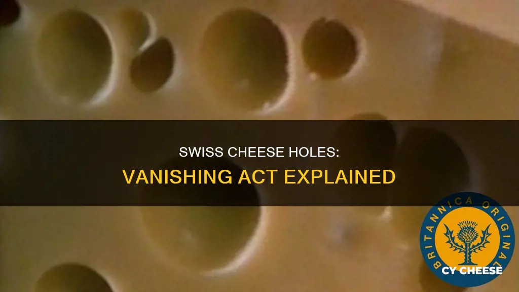 why are swiss cheese hole disappearing