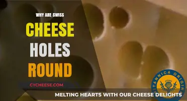 Swiss Cheese Holes: Why Are They Round?