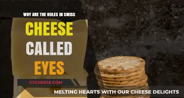 Swiss Cheese Eyes: The Science Behind the Holes