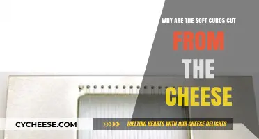 Why Soft Curds Are Cut During Cheese Making: Essential Steps Explained