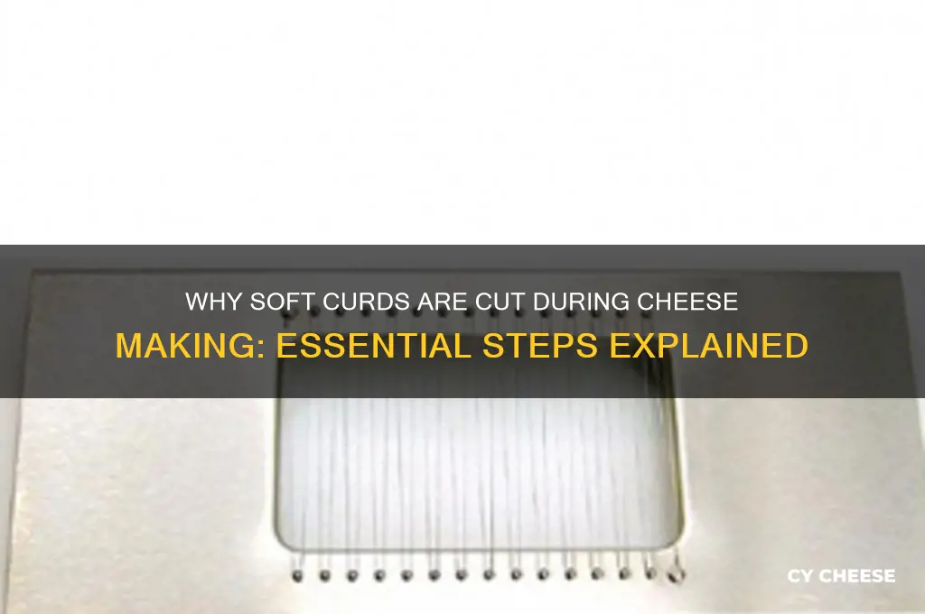 why are the soft curds cut from the cheese