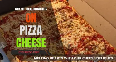The Mystery of Brown Dots on Pizza Cheese