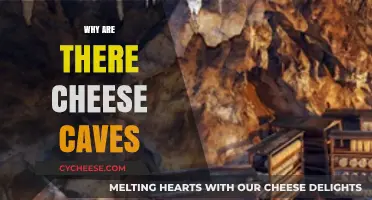 Exploring the Ancient Tradition of Cheese Caves and Their Purpose
