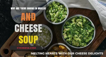 Unraveling the Mystery: Onions in Broccoli and Cheese Soup Explained