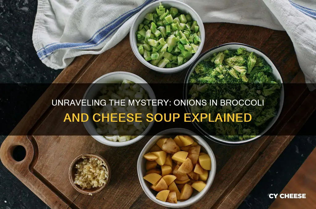 why are there onions in brollic and cheese soup