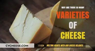 Exploring the Diverse World of Cheese Varieties and Origins