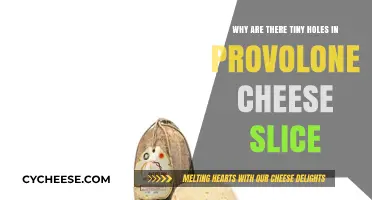 Tiny Holes in Provolone Cheese: The Surprising Science Behind Them