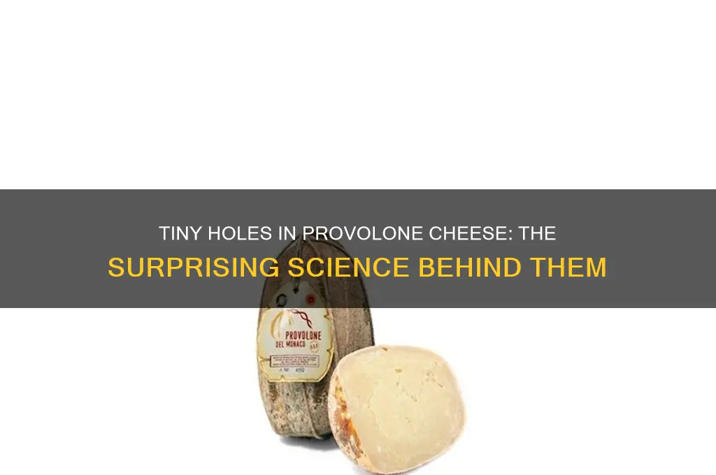 why are there tiny holes in provolone cheese slice