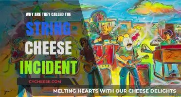 Unraveling the Mystery: Why 'String Cheese Incident' Got Its Name